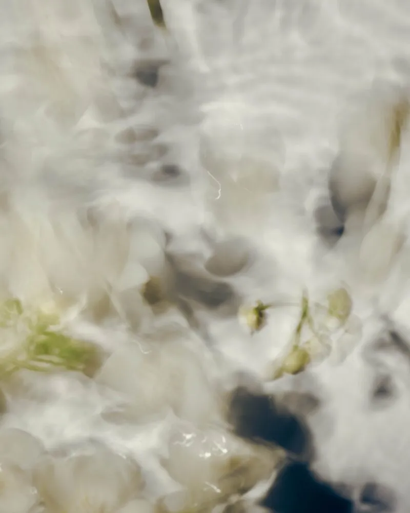 Jasmine White Morfeen - Image 3