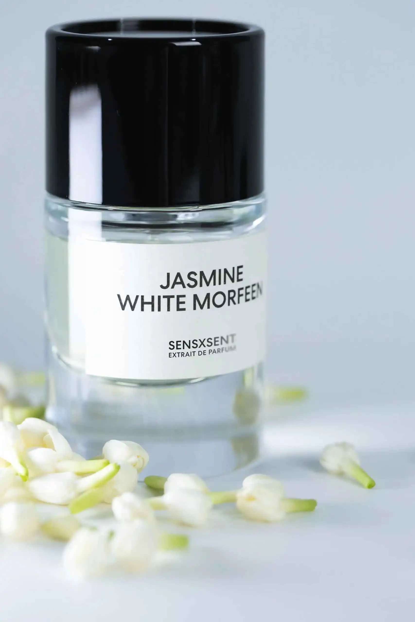 Jasmine White Morfeen - Ảnh 4
