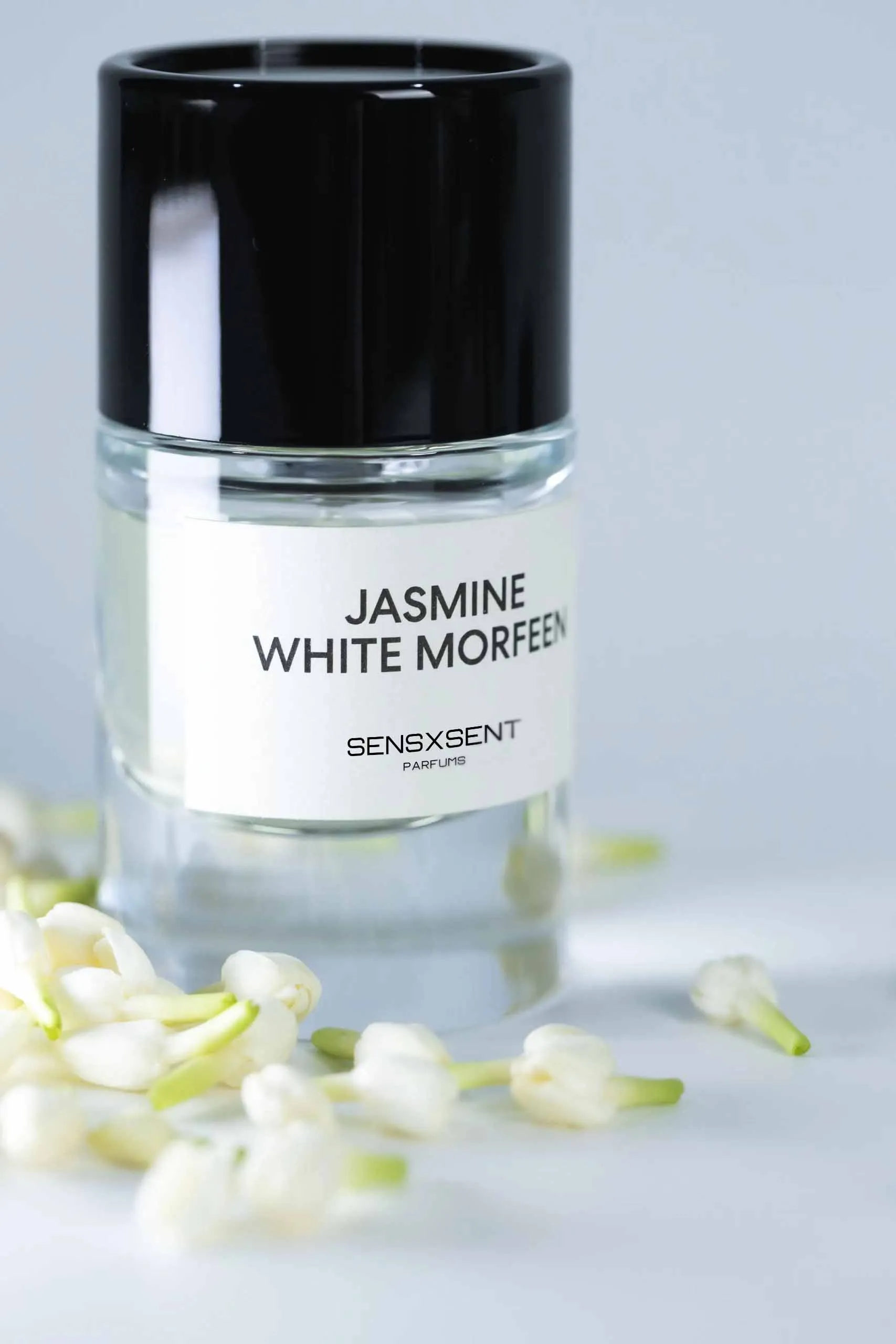 Jasmine White Morfeen - Ảnh 4