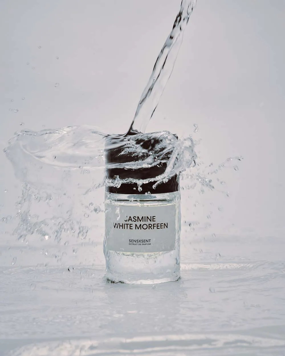 Jasmine White Morfeen - Image Water - SES
