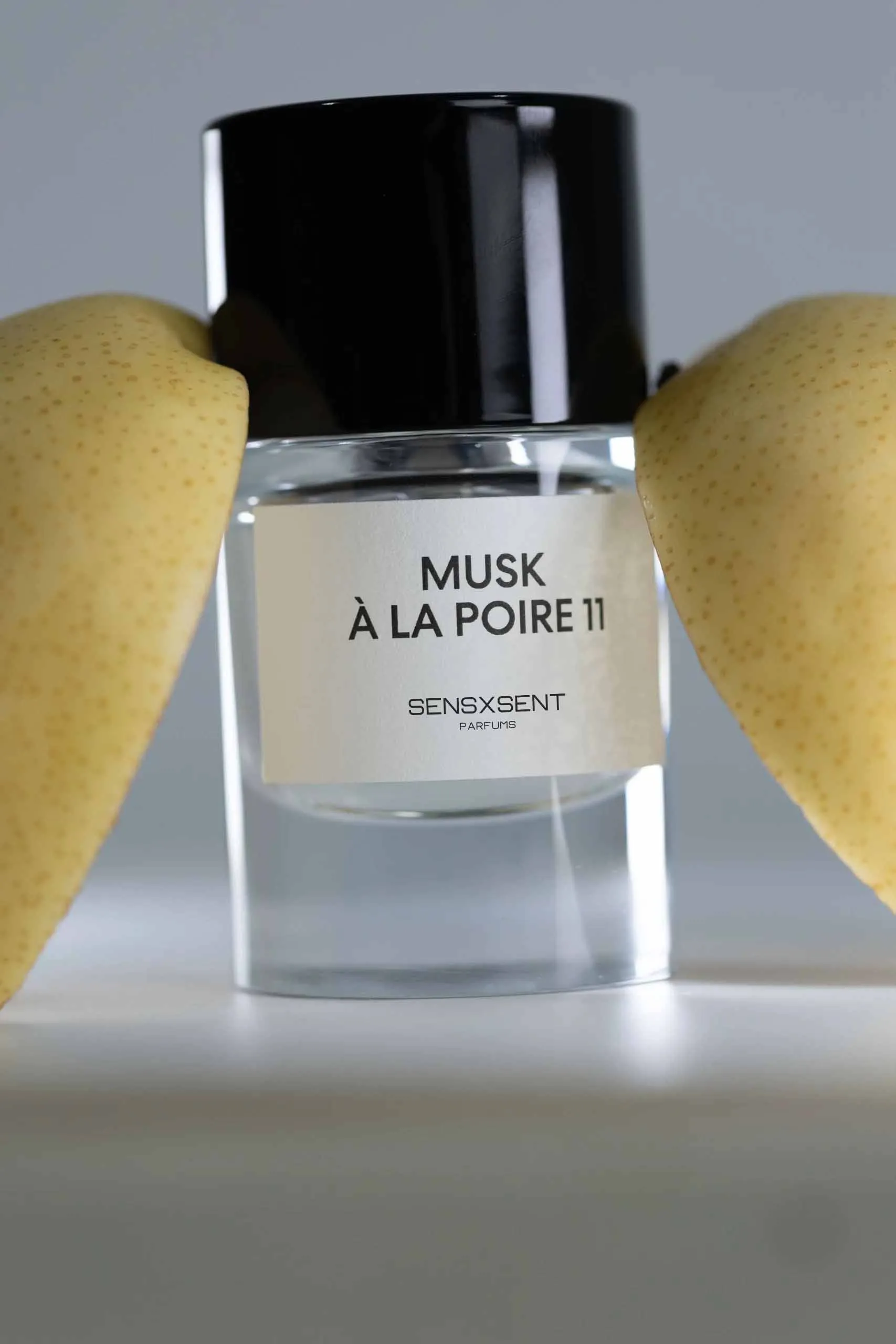 Musk À La Poire 11 - Ảnh 2