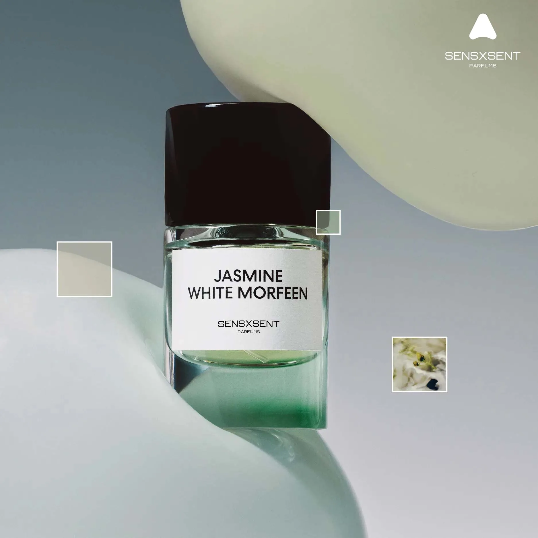 Jasmine White Morfeen - Ảnh 3