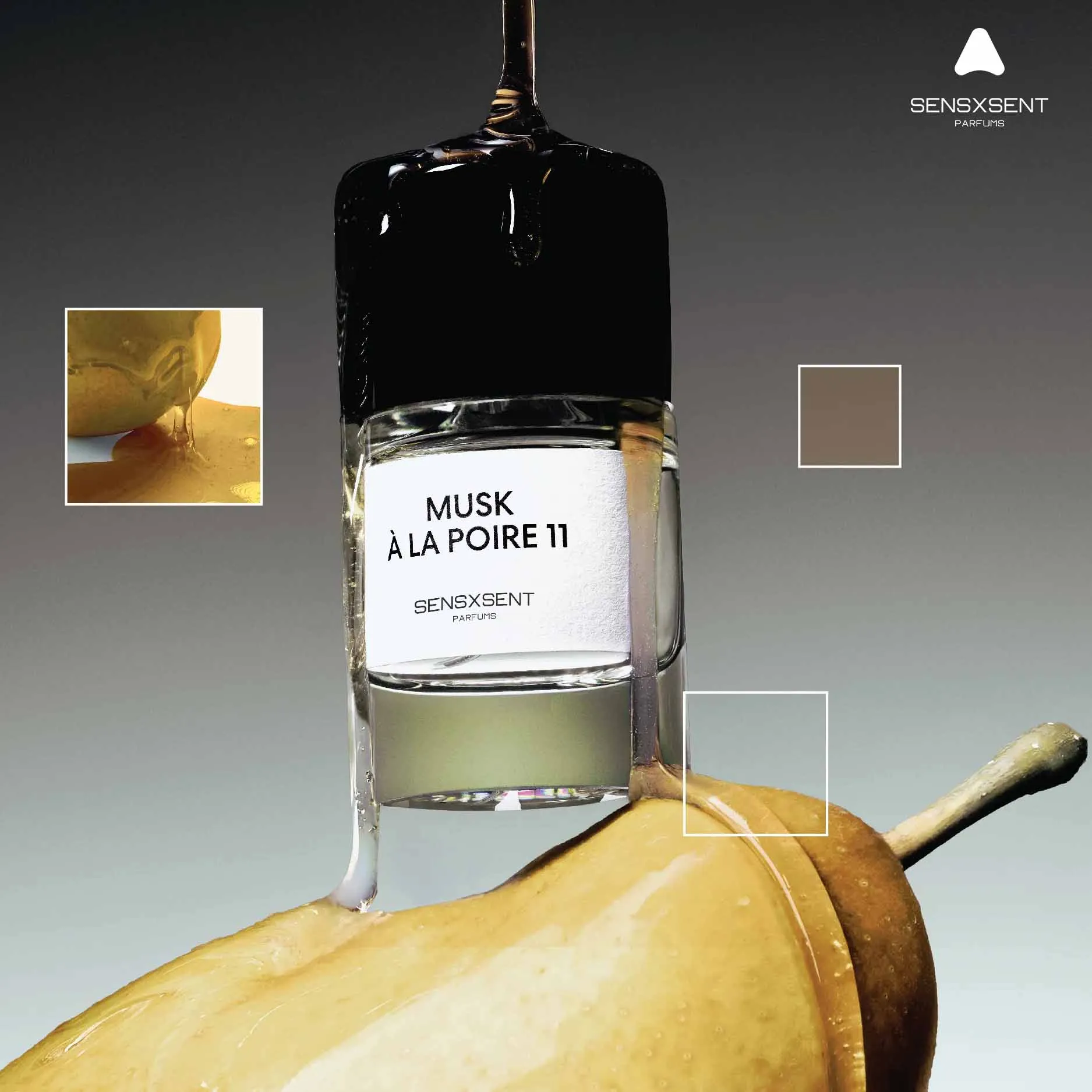 Musk À La Poire 11 - Ảnh 3