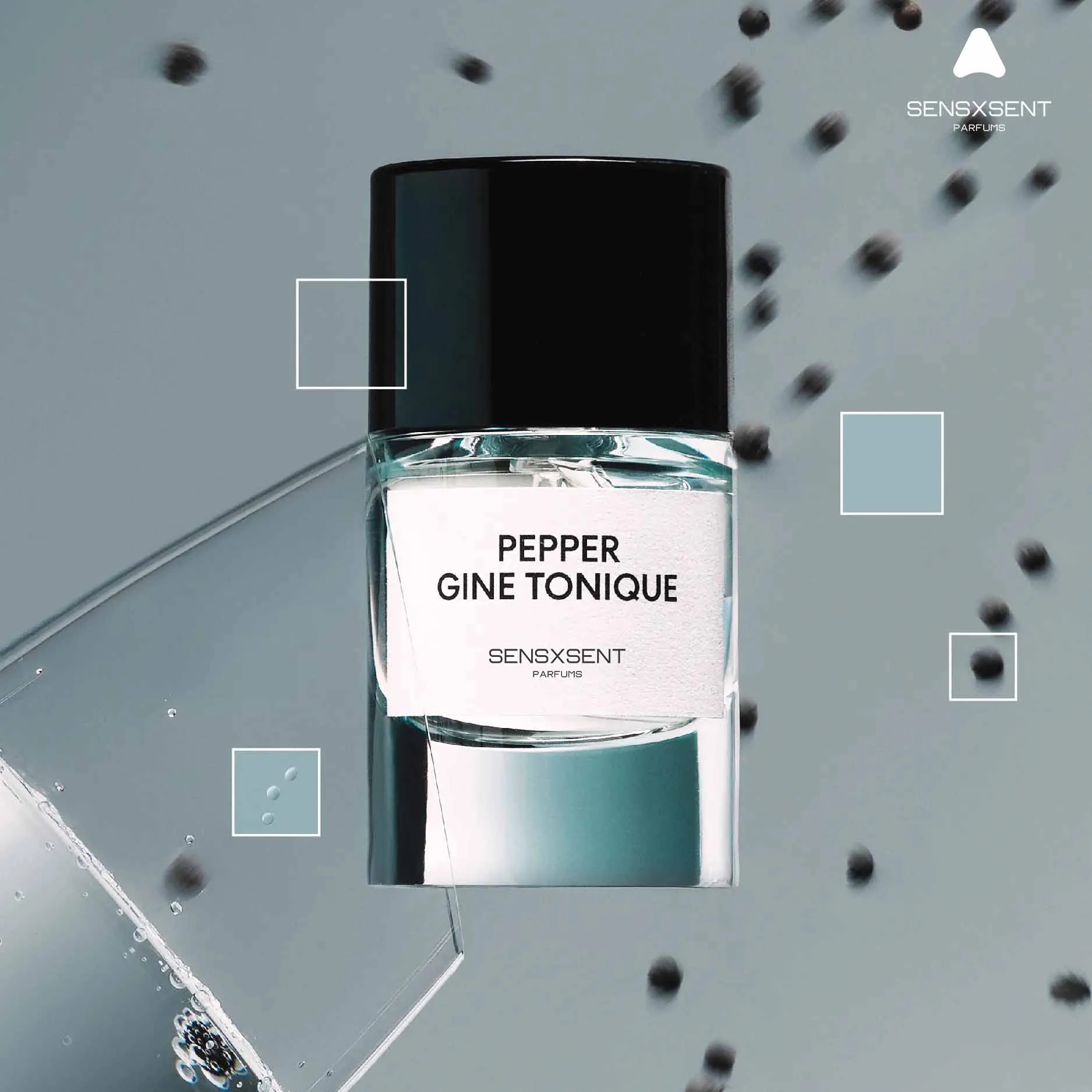 Pepper Gine Tonique - Ảnh 9