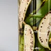 nuoc-hoa-niche-sensxsent-banana-wishky-edp-banana-wine-notes
