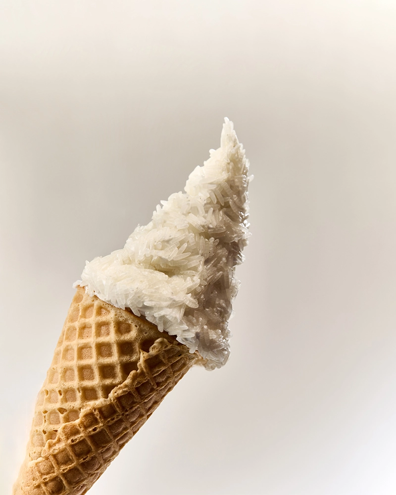 nuoc-hoa-niche-sensxsent-rice-ice-cream-edp-rice-milk-notes