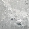 nuoc-hoa-niche-sensxsent-saigon-freezer-edp-cold-soda-notes